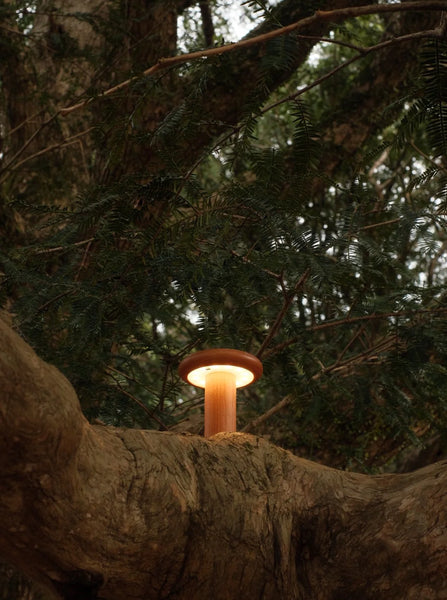 Baobab Tree Lamp